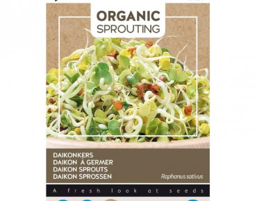 Daikon, radis japonais à germer, BIO