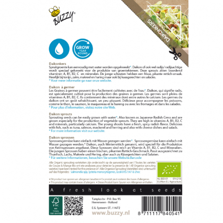 Daikon, radis japonais à germer, BIO