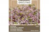 Purple kohlrabi to sprout, organic