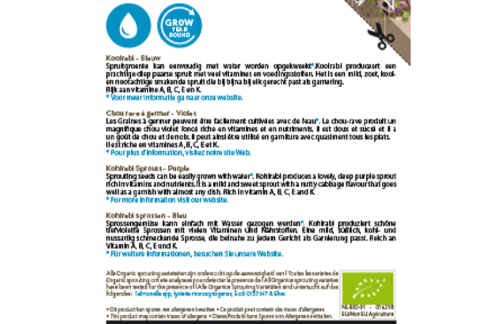 Chou rave violet à germer, BIO Chou rave violet à germer, BIO