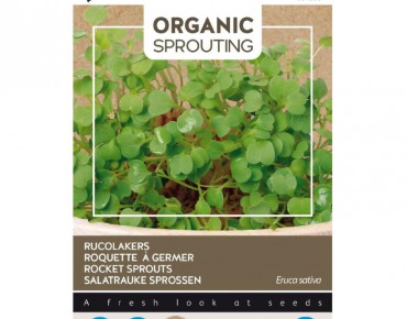 Rucola om te ontspruiten, BIO