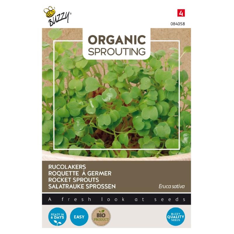 Rocket to sprout, organic
