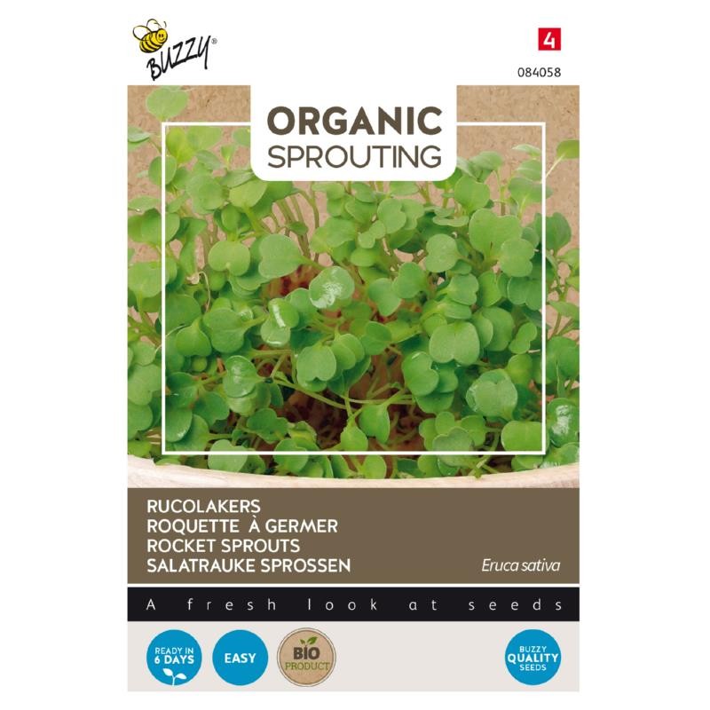 Roquette à germer BIO