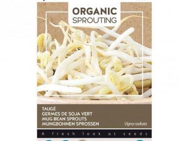 Soja vert à germer, BIO