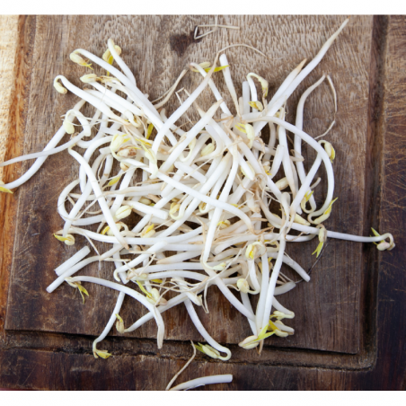 Mug bean to sprout, organic