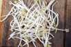 Mug bean to sprout, organic