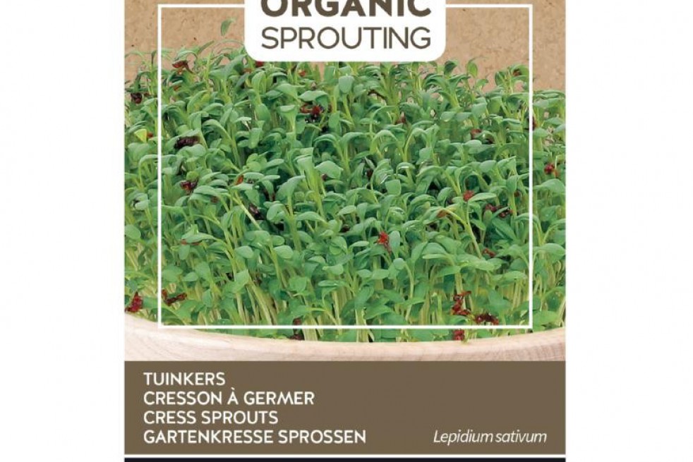 Cress to sprout, organic