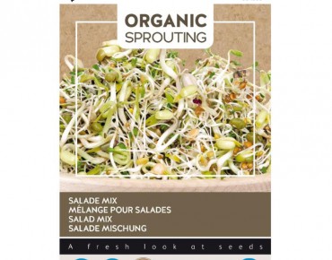 Salad mix to sprout, organic