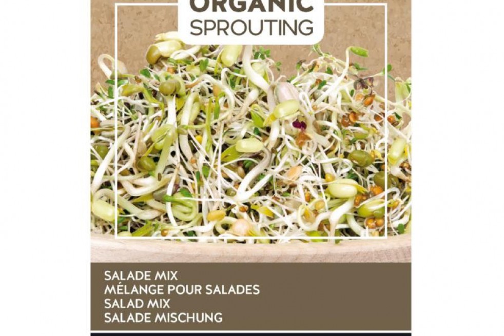 Salad mix to sprout, organic