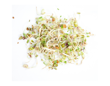 Salad mix to sprout, organic