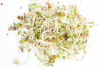 Mélange pour salades à germer, BIO