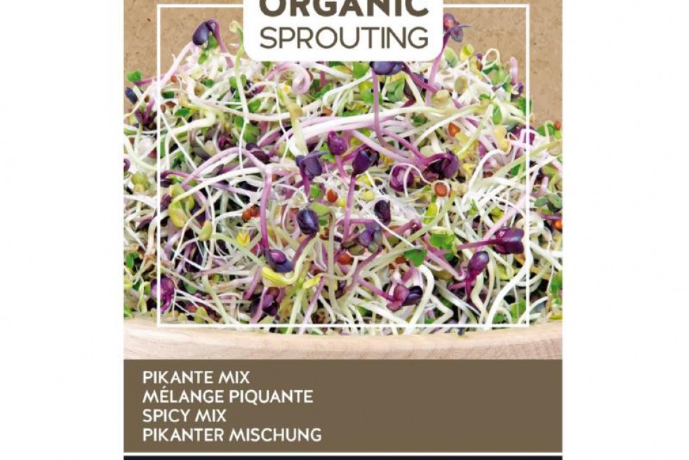 Mélange de Salades Piquantes à germer, BIO