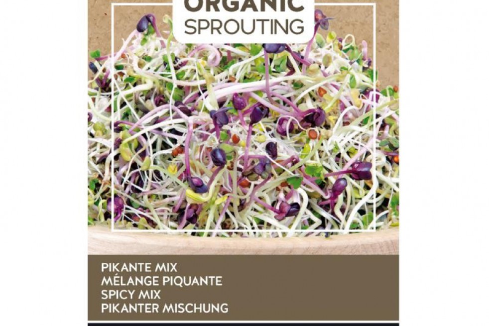 Mix of Spicy Salads to sprout, organic