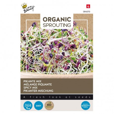 Mix of Spicy Salads to sprout, organic