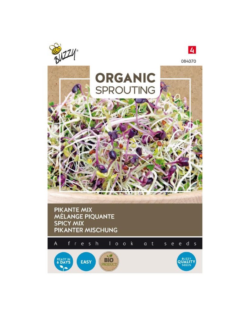 Mizuna, salade Japonaise Brassica rapa nipposinica var. japonica