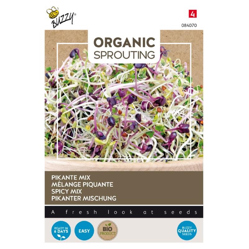 Mix of Spicy Salads to sprout, organic
