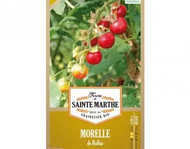 Morelle de Balbis BIO