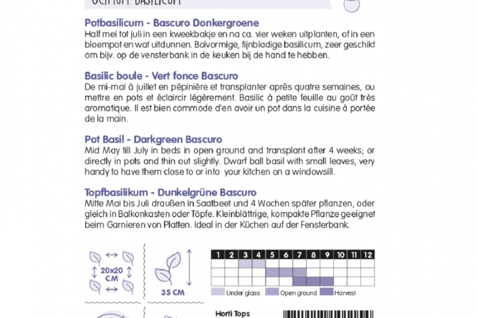 Potbasilicum