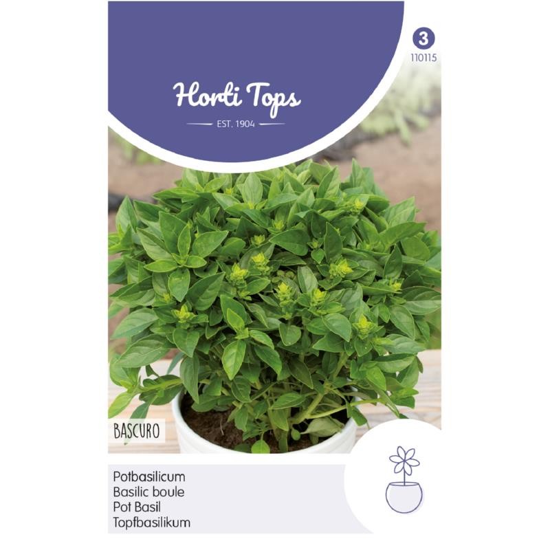 Pot Basil