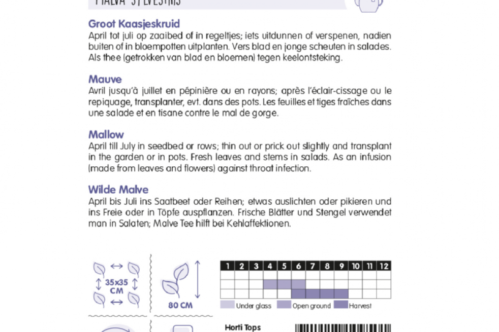 Groot Kaasjeskruid