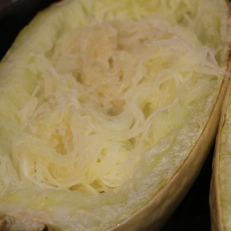 Samen Spaghettikürbis - Cucurbita pepo