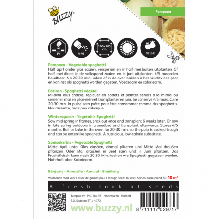 Seeds Spaghetti squash  - Cucurbita pepo