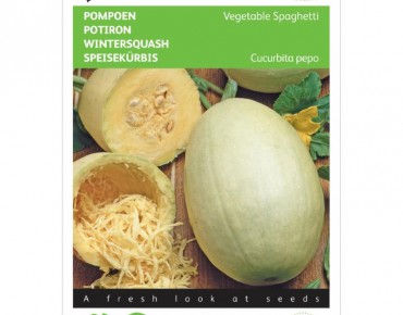 Courge spaghetti