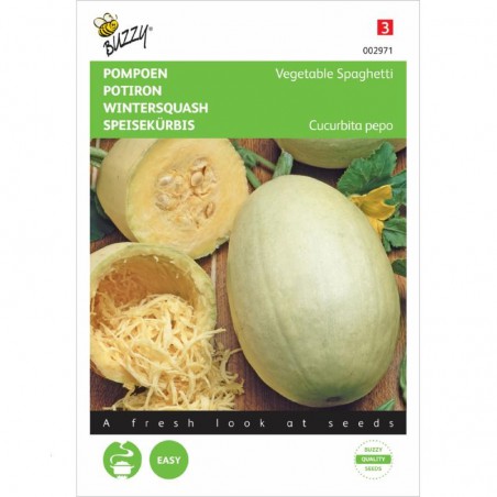 Zaden Spaghettipompoen - Cucurbita pepo