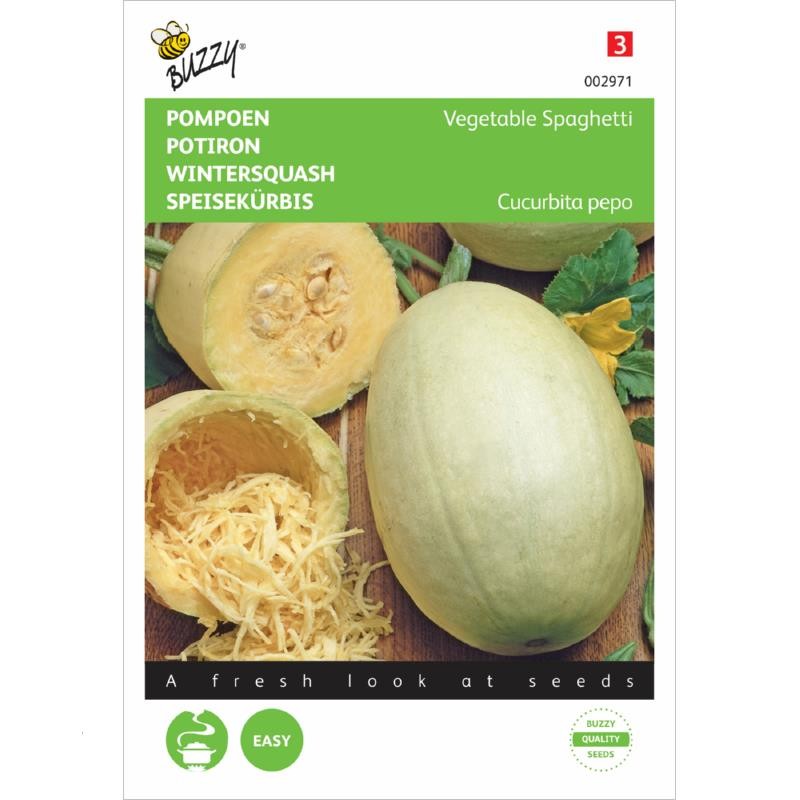 Spaghetti squash