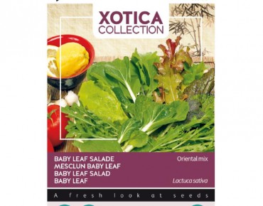 Mesclun Baby Leaf
