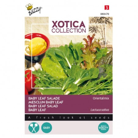 Zaden Salade Baby Leaf - Oriental Mix  - Lactuca sativa