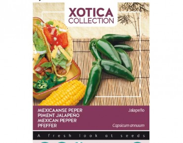 Hot pepper Jalapeno