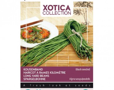 Yardlong Beans, Katjang...