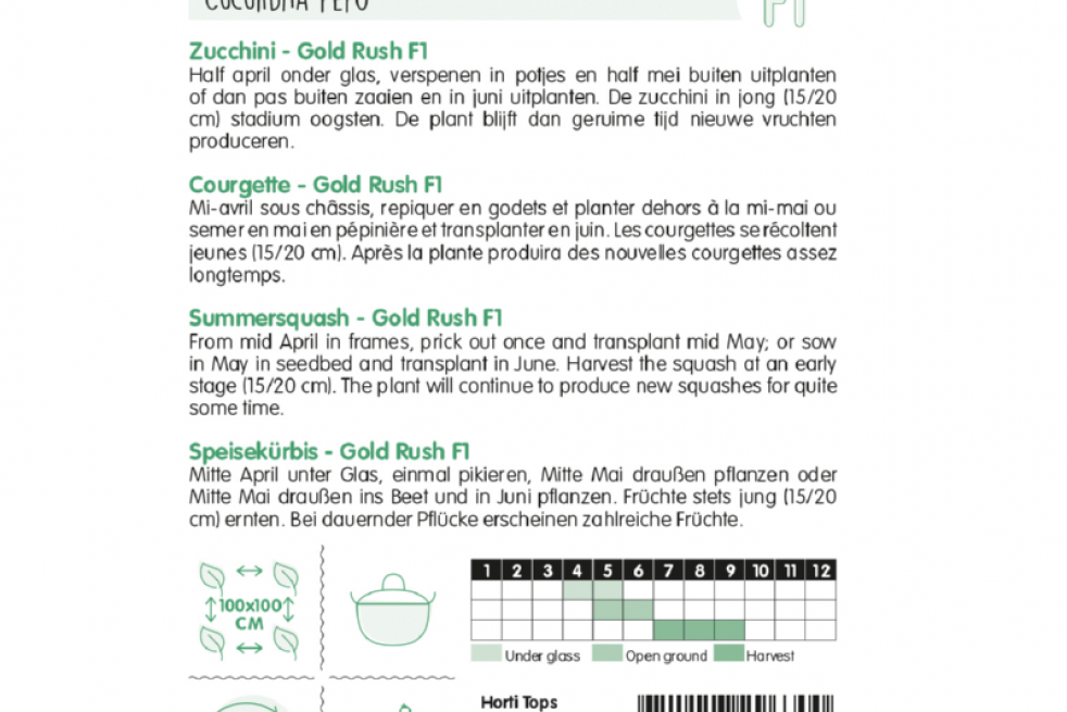 Courgette jaune Gold rush Courgette jaune Gold rush