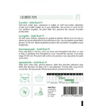 Courgette jaune Gold rush