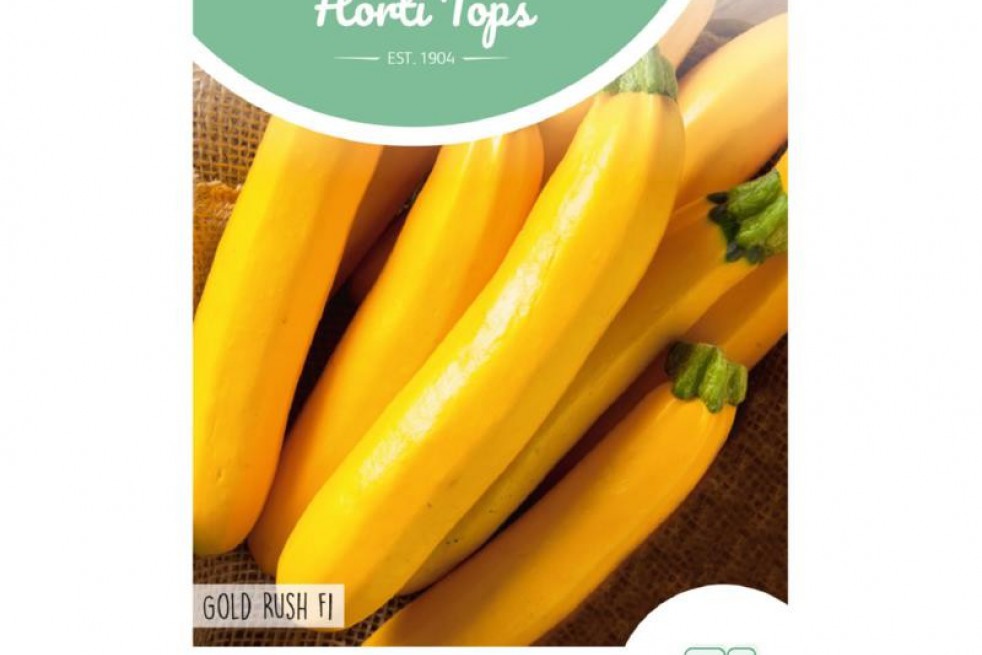 Courgette jaune Gold rush