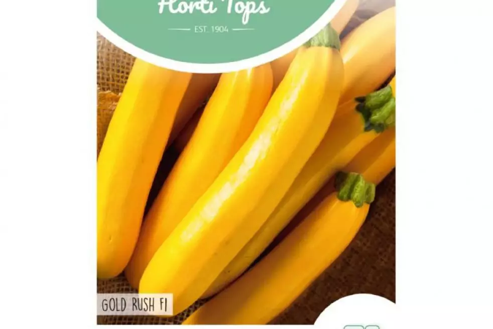 Courgette jaune Gold rush