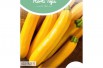 Courgette jaune Gold rush Courgette jaune Gold rush