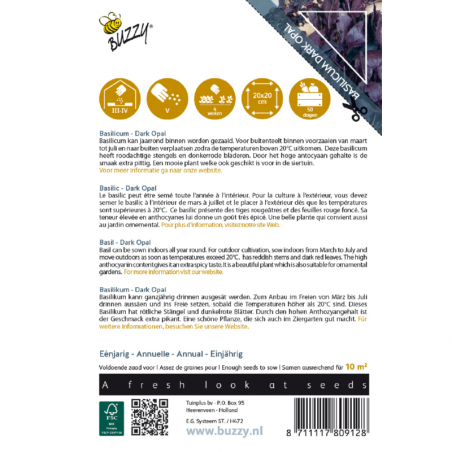 Semences Basilic pourpre Dark Opal - Basilicum