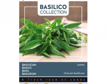 Basilic Citron