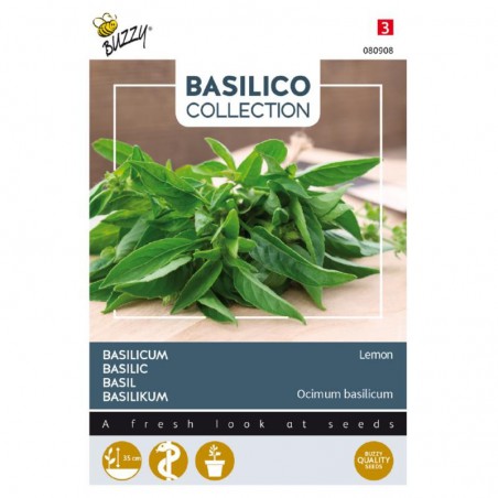 Semences Basilic Citron - Basilicum