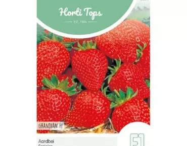 Aardbei Grandian