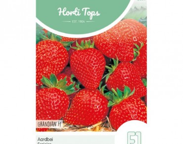 Strawberry Grandian