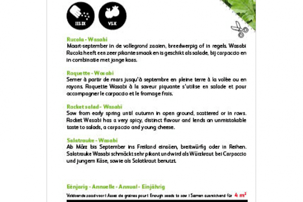 Roquette Sauvage BIO Roquette Sauvage BIO