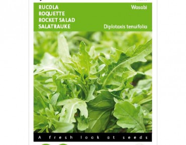 Roquette Sauvage BIO