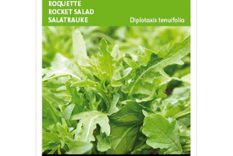 Wild Rocket BIO