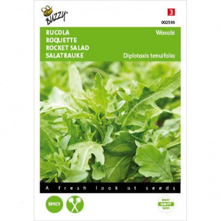 Roquette Sauvage BIO