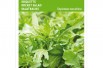 Wilde Rucola BIO