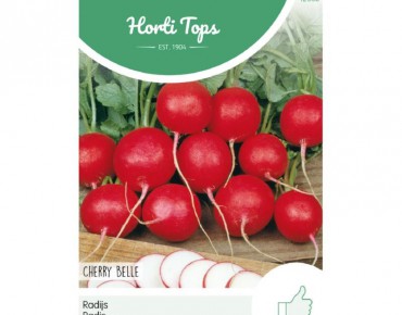 Cherry Belle radish