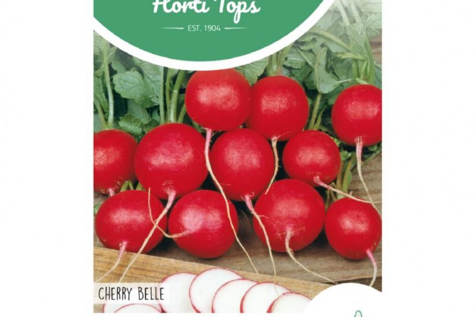 Radis Cherry Belle